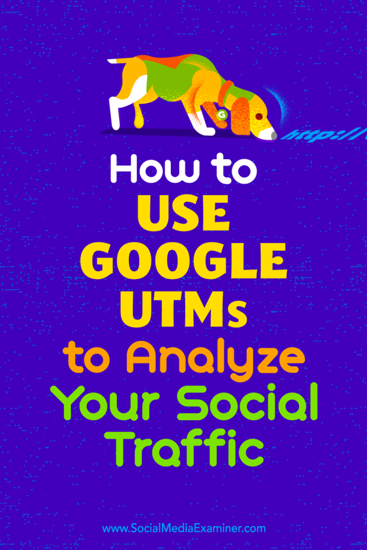 Como usar os UTMs do Google para analisar seu tráfego social: examinador de mídia social