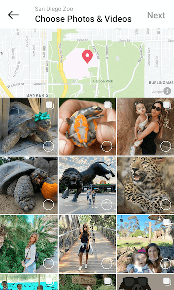 exemplo criar guia de locais do instagram para @sandiegozoo com a opção de selecionar fotos e vídeos com vários exemplos de postagens oferecidos para seleção