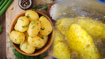 Como a batata é cozida? As dicas de batatas cozidas