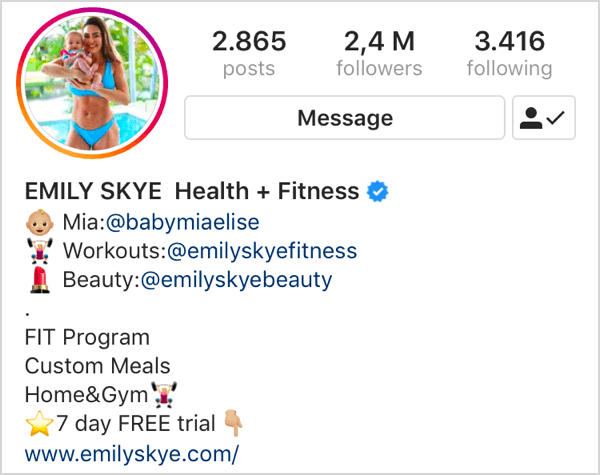 exemplo de perfil do Instagram com emojis ao lado de cada alça na bio