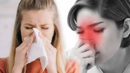 O que é rinite alérgica? Quais são os sintomas da rinite alérgica? Existe tratamento para rinite alérgica?