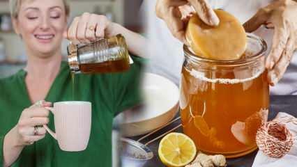 O chá de kombucha enfraquece? Como fazer kombucha para emagrecer? Benefícios do chá Kombucha