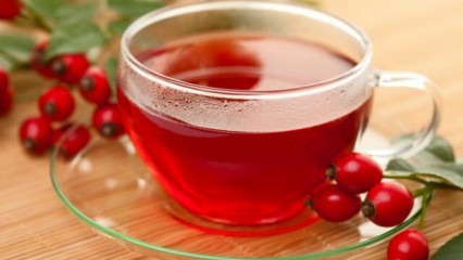 Quais são os benefícios da Rosa Mosqueta? Como preparar chá de Rosa Mosqueta?