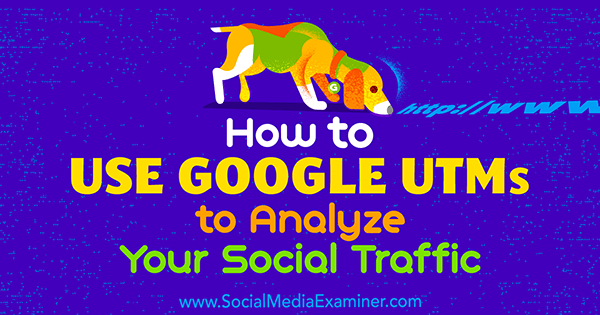 Como usar os UTMs do Google para analisar seu tráfego social, por Tammy Cannon no examinador de mídia social.