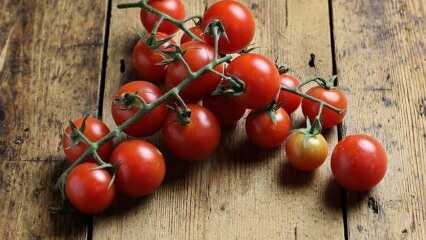 Como evitar a podridão do tomate? Como prevenir a traça de tomate? 