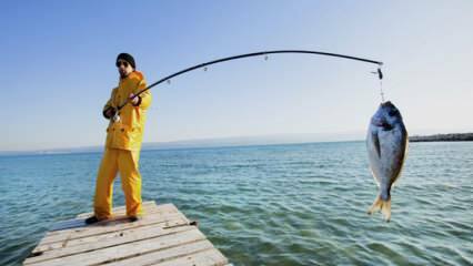 Como pescar? Quais são os truques da pesca com vara de pescar?