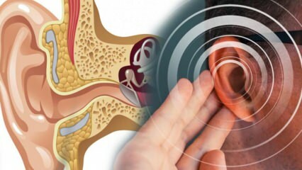 Doença de ouvido: o que causa menier? Quais são os sintomas de Meniere? Existe cura?