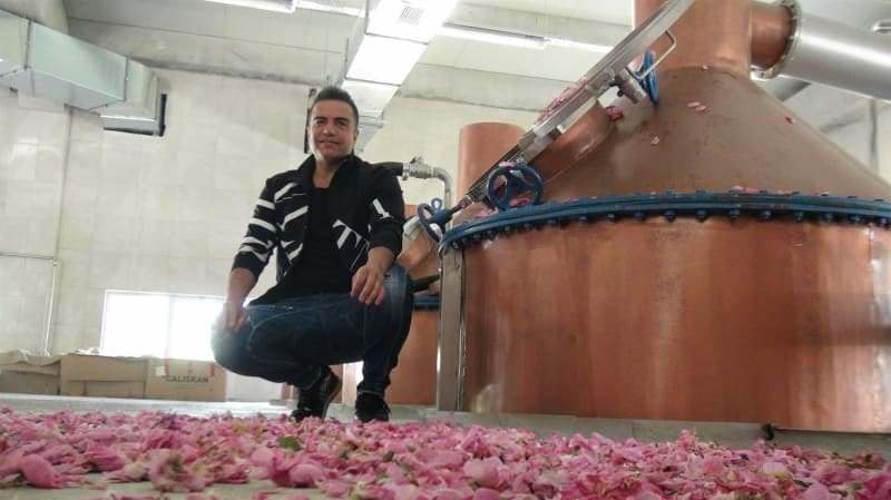 berdan mardini estabeleceu uma fábrica de óleo de rosas em sua cidade natal, mard