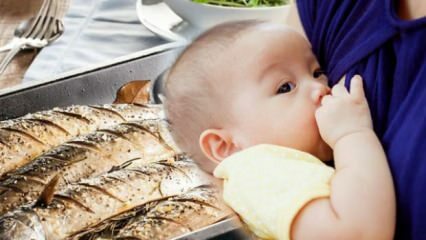 Os peixes podem ser consumidos durante a amamentação?