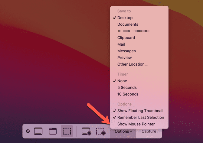 Opções da barra de captura de tela do Mac