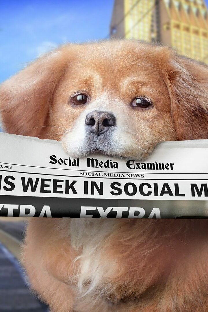 Facebook Live lança segmentação de público: esta semana nas mídias sociais: examinador de mídias sociais