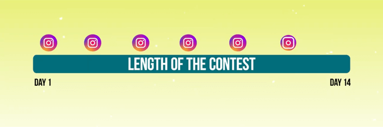 gráfico que descreve a linha do tempo de postagens promocionais para concurso do Instagram