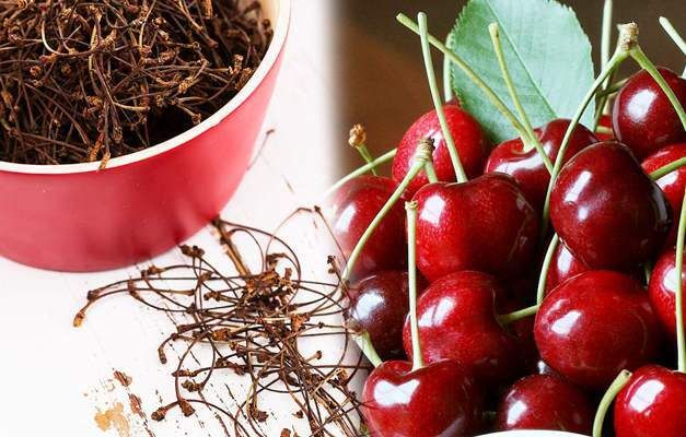 Quais são os benefícios do talo de cereja? Chá de caule de cereja