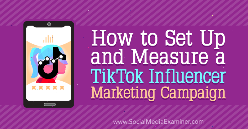 Como configurar e medir uma campanha de marketing do influenciador TikTok por Lachlan Kirkwood no examinador de mídia social.