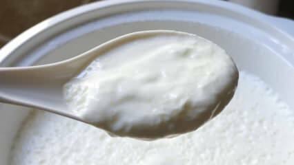 Qual é a maneira mais fácil de preparar iogurte? Fazendo iogurte como pedra em casa! O benefício do iogurte em casa