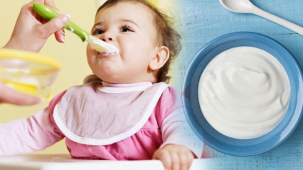 Como fazer iogurte para bebês? Receitas caseiras de iogurte de frutas para bebês