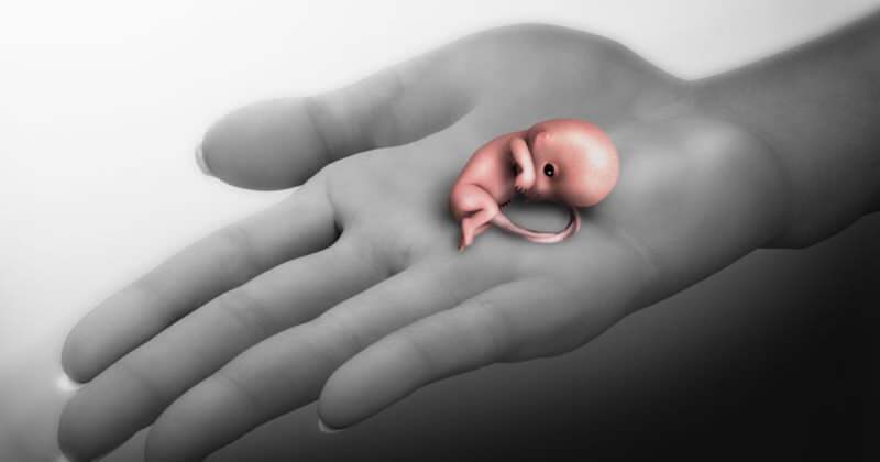 O que é um aborto espontâneo? Sintomas de aborto durante a gravidez