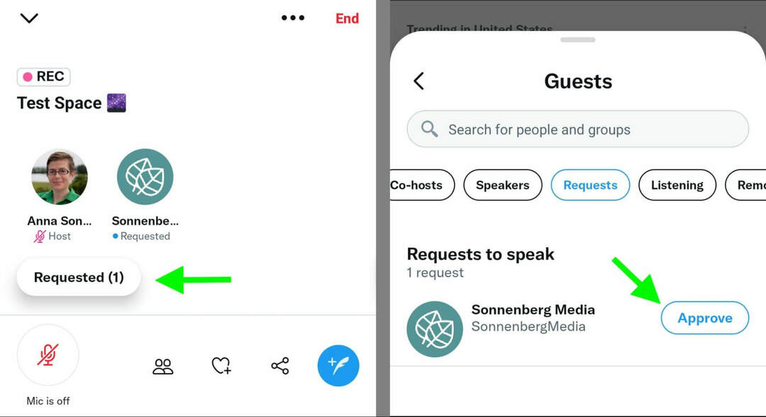 how-to-create-twitter-spaces-convite-speakers-to-space-requests-to-speak-sonnenbergmedia-step-14