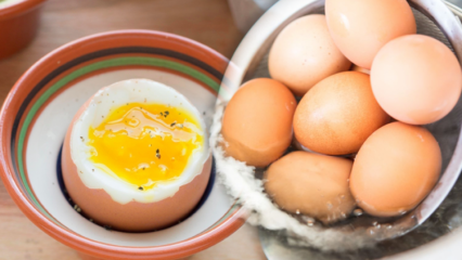 Quais são os benefícios de um ovo cozido baixo? Se você comer dois ovos cozidos por dia ...