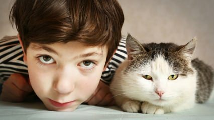 Qual é o efeito de animais de estimação em crianças?