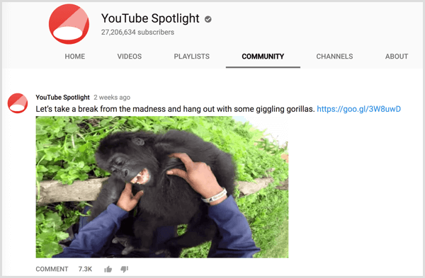 Postagem da guia Comunidade do canal do YouTube