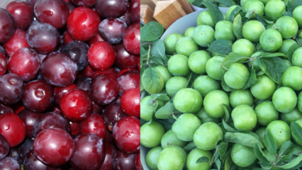 Quais são os benefícios da ameixa de cereja verde e vermelha? O que o suco de ameixa vermelha faz?