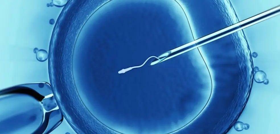 Como fazer o tratamento de fertilização in vitro