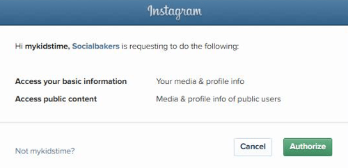 Autorize o Socialbakers a acessar as informações da sua conta do Instagram.