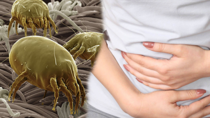 Onde está a parte mais suja do corpo e como é limpa? Quais são as doenças causadas por parasitas? 