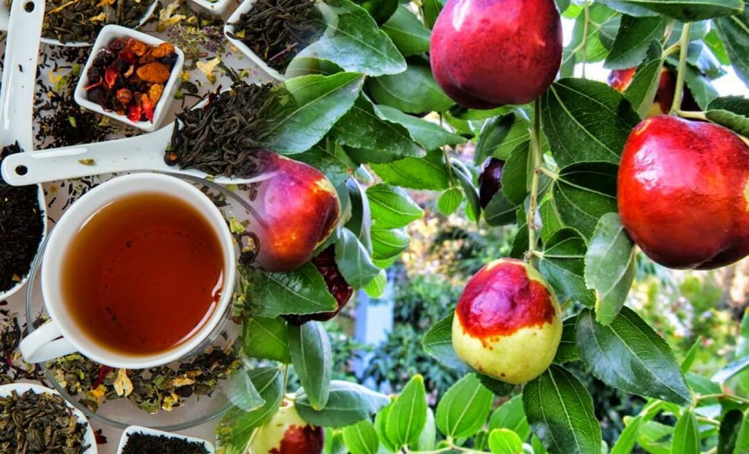 Quais são os benefícios do chá de jujuba recomendados por Ibn Sina? Para que serve o chá de jujuba?