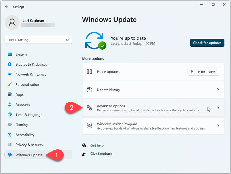 Vá para Windows Update> Opções avançadas nas configurações do Windows 11