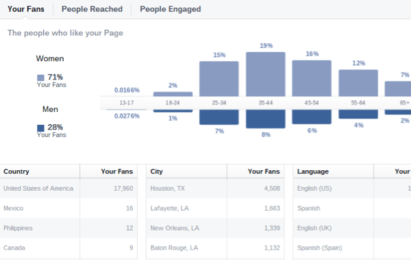 informações demográficas do público no Facebook