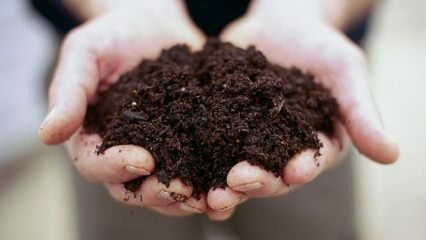 Como evitar a moldagem do solo em vaso?