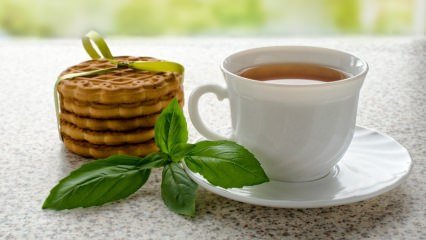 Quais são os benefícios do manjericão? Onde o manjericão é usado? Como fazer chá de manjericão?