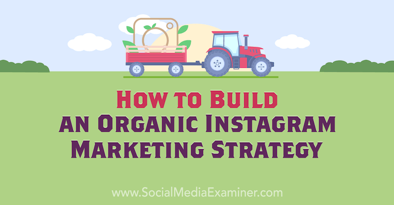 Como construir uma estratégia de marketing orgânico no Instagram por Corinna Keefe no Social Media Examiner.