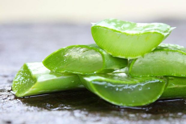 O que é Aloe Vera e quais são os benefícios da Aloe Vera para a pele? Como o Aloe Vera é aplicado na pele?