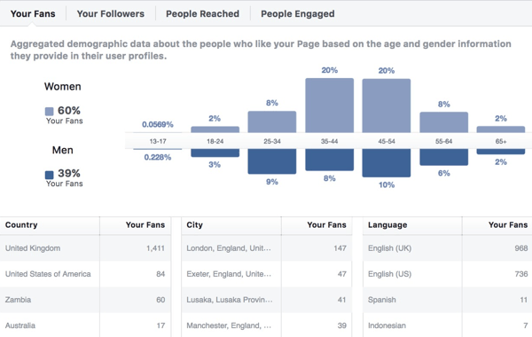 Dados demográficos do público do Facebook Insights.