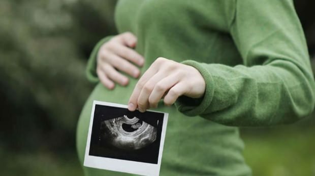 Qual órgão se desenvolve primeiro em bebês? Desenvolvimento do bebê semana a semana