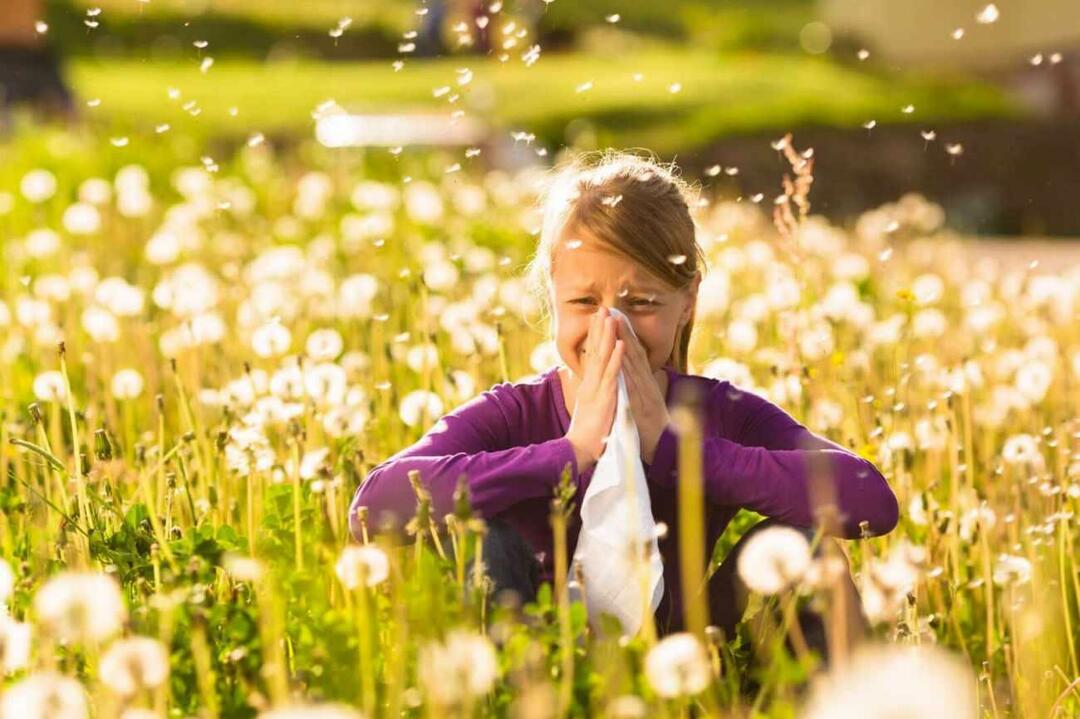O que considerar para proteger as crianças das alergias sazonais