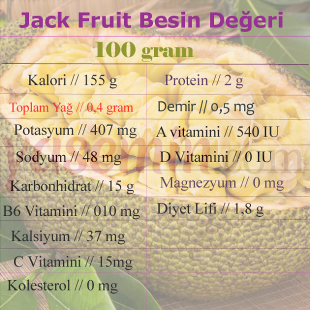 VALORES NUTRITIVOS DO JACK FRUIT