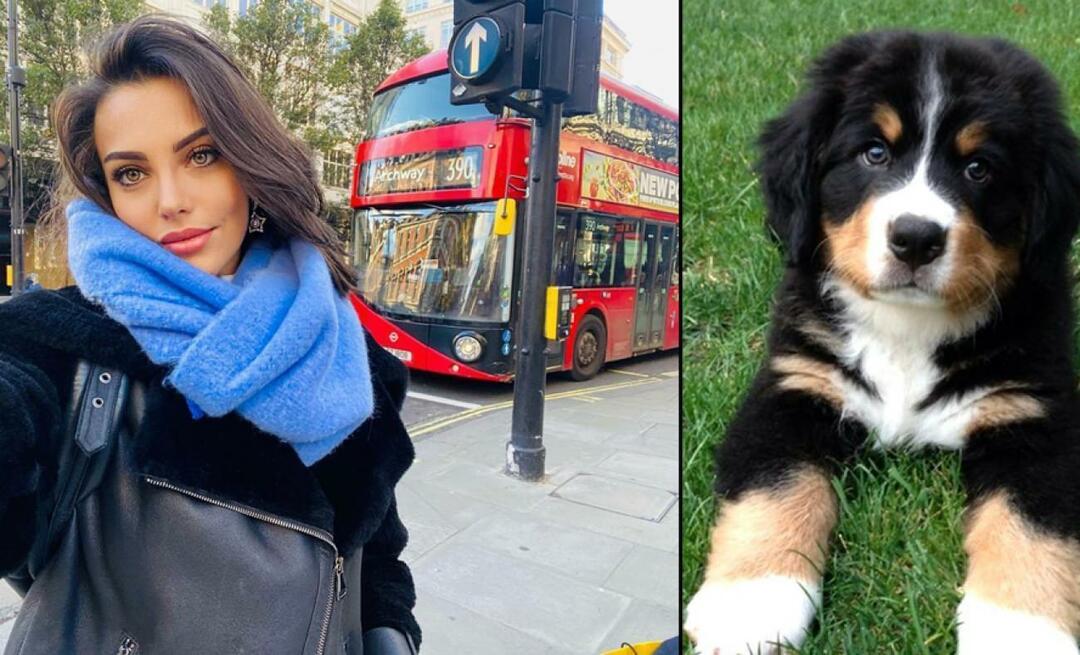 A atriz Tuvana Türkay deu a vida por seu cachorro!