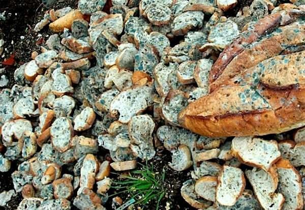 desperdício de pão Türkiye ocupa o 15º lugar