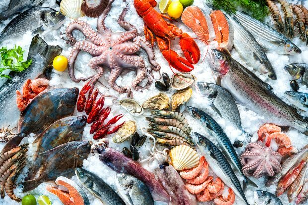 atente para frutos do mar e alimentos congelados!
