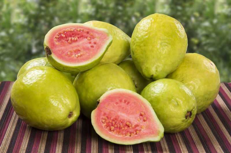 fruta guavana passa como morango 