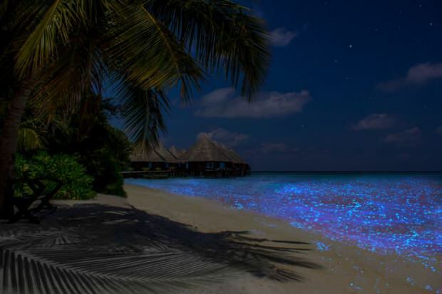 Ilha Vaadhoo das Maldivas