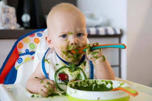 Receitas práticas para bebês no período de suplementação alimentar