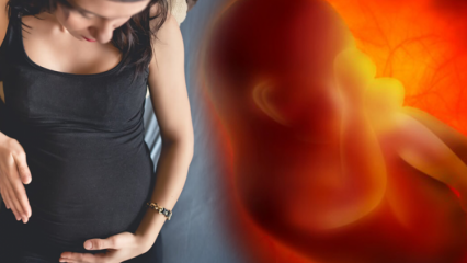 Está menstruando durante a gravidez? Causas e tipos de sangramento durante a gravidez