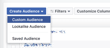 Crie um público personalizado no Facebook Ads Manager.