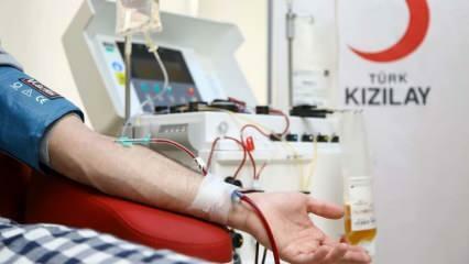 Onde e como doar sangue? Quais são as condições para doar sangue