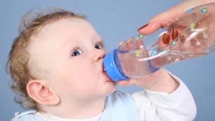 Os bebês devem receber água?